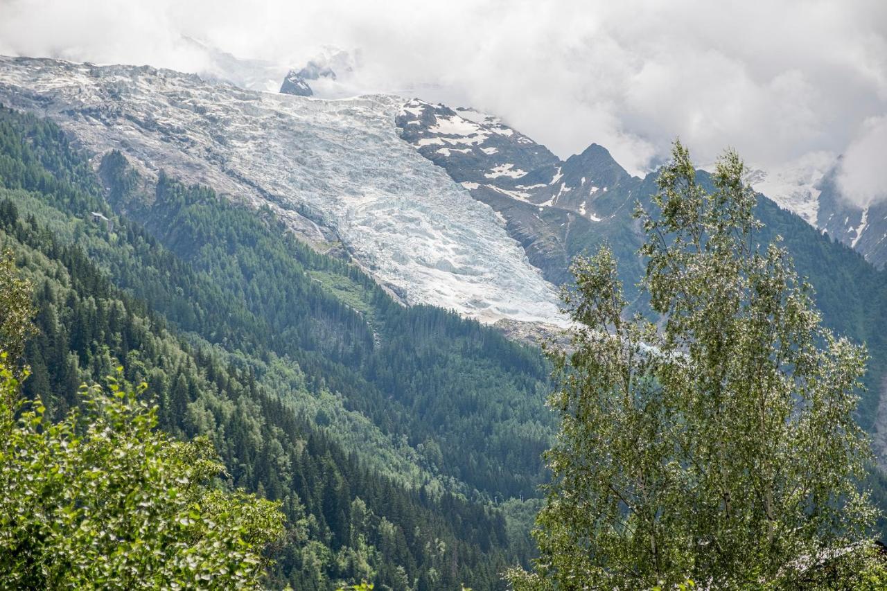 シャモニーAu Coeur Du Glacierアパートメント エクステリア 写真